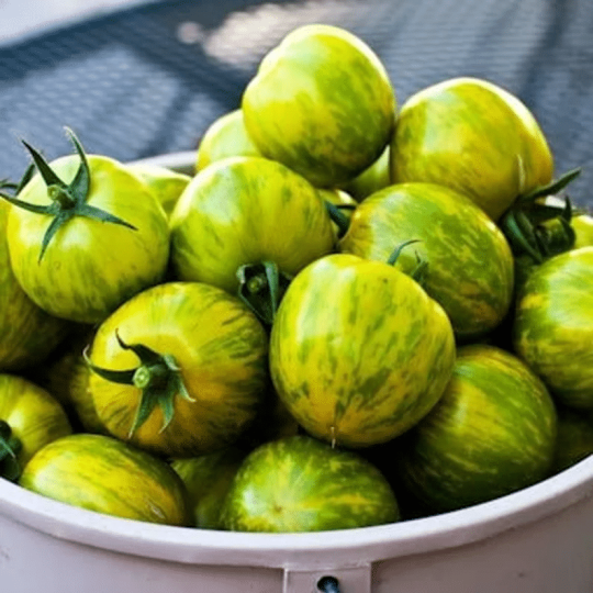 Grüne Zebra-Tomatensamen - Offene Bestäubung, gentechnikfrei, 20 Samen pro Packung: Frische Vielfalt für Ihren Gemüsegarten! 🍅🌿