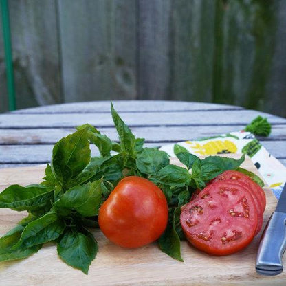 Garden Treasure Tomaten - Schätze aus Ihrem eigenen Garten! 🍅🌱