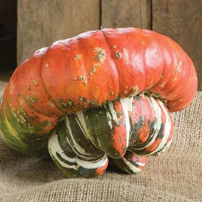 Türkenmützen-Kürbissamen - Verleihen Sie Ihrem Garten einen Hauch von Exotik! 🎃🧡