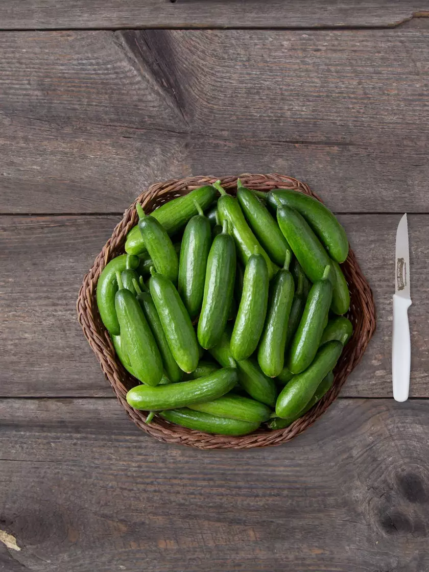 🌱🥒 Entdecken Sie die Freude an dornenlosen Mini-Gurkensamen - Perfekt für köstliche Snacks und frische Salate! 🌟🥗