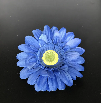 Blue Gerbera" Blumensamen, Sonnenblume