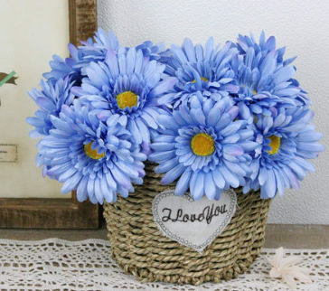 Blue Gerbera" Blumensamen, Sonnenblume