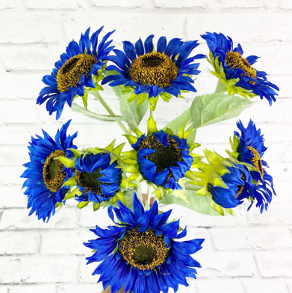 Leuchtend blaue Sonnenblumenkerne