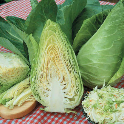 Bio-Weißkohl Caraflex F1 - Natürliche Frische für Ihren Gemüsegarten! 🥬🌱