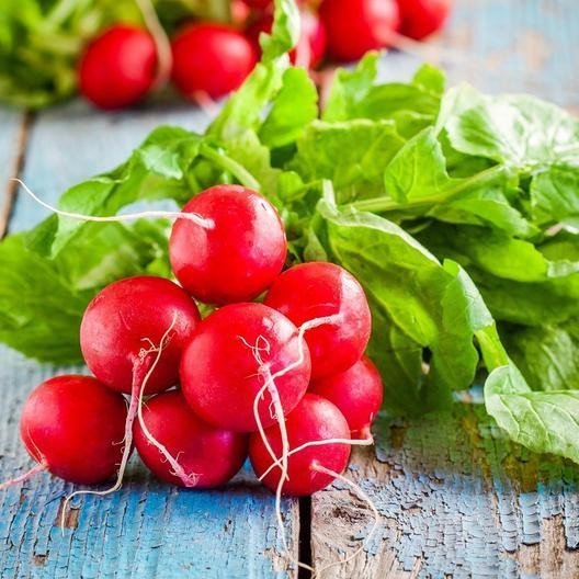 Rettich Cherry Belle - Knackige Frische aus Ihrem Gemüsegarten! 🥕🍒🌱