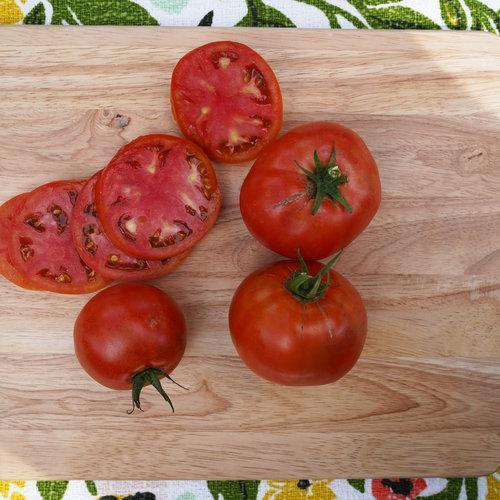 Garden Treasure Tomaten - Schätze aus Ihrem eigenen Garten! 🍅🌱