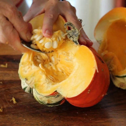 Türkenmützen-Kürbissamen - Verleihen Sie Ihrem Garten einen Hauch von Exotik! 🎃🧡