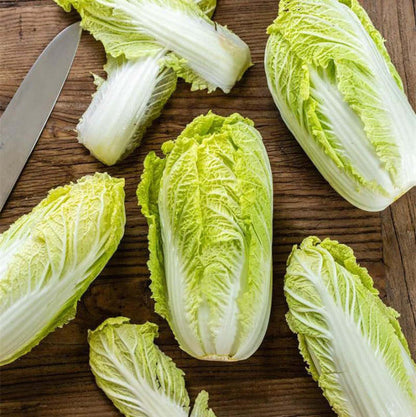 Bio-Weißkohl Bilko F1 - Frische Vielfalt aus biologischem Anbau! 🥬🌱