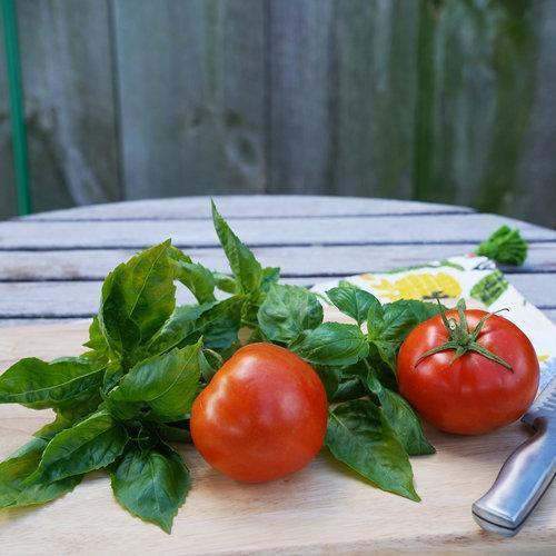 Garden Treasure Tomaten - Schätze aus Ihrem eigenen Garten! 🍅🌱