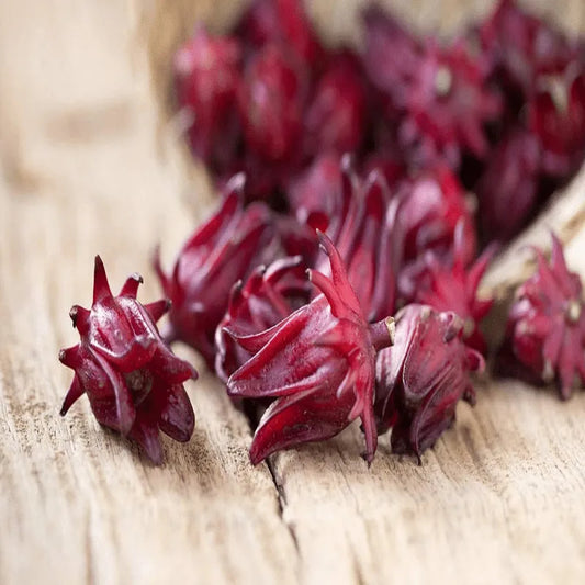 Roselle-aromatischer Teepflanzensamen