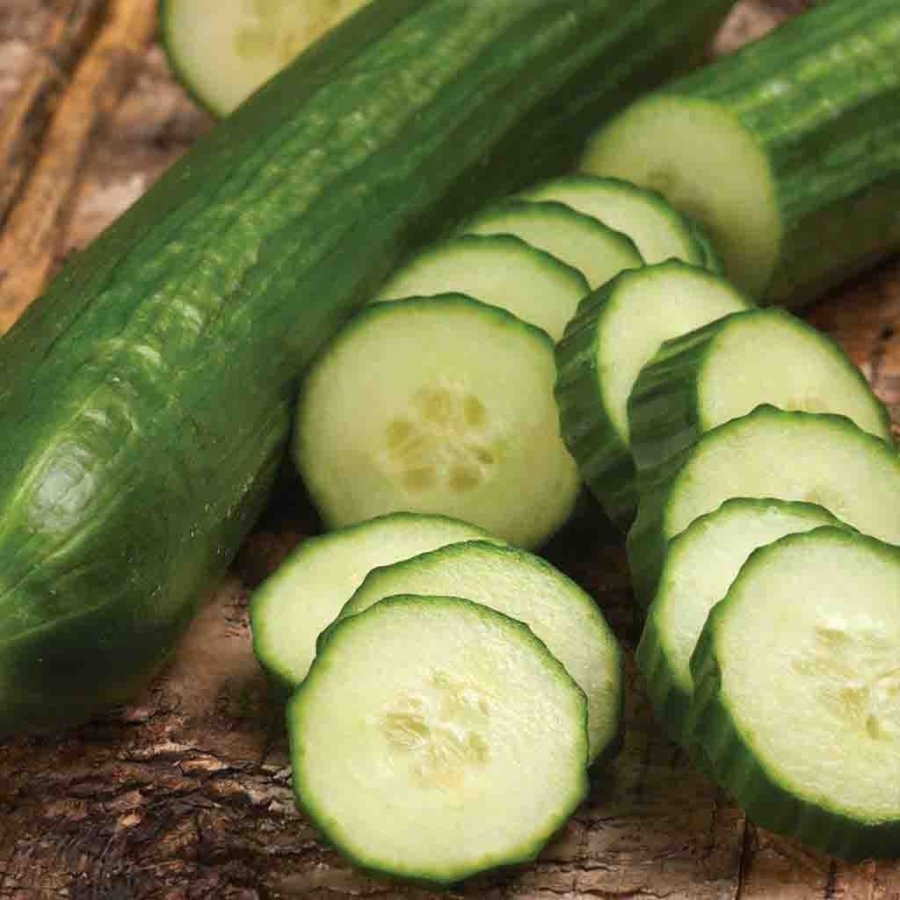 Gurke Burpless 26 F1 Samen - Für eine erfrischende Vielfalt in Ihrem Garten! 🥒🌱