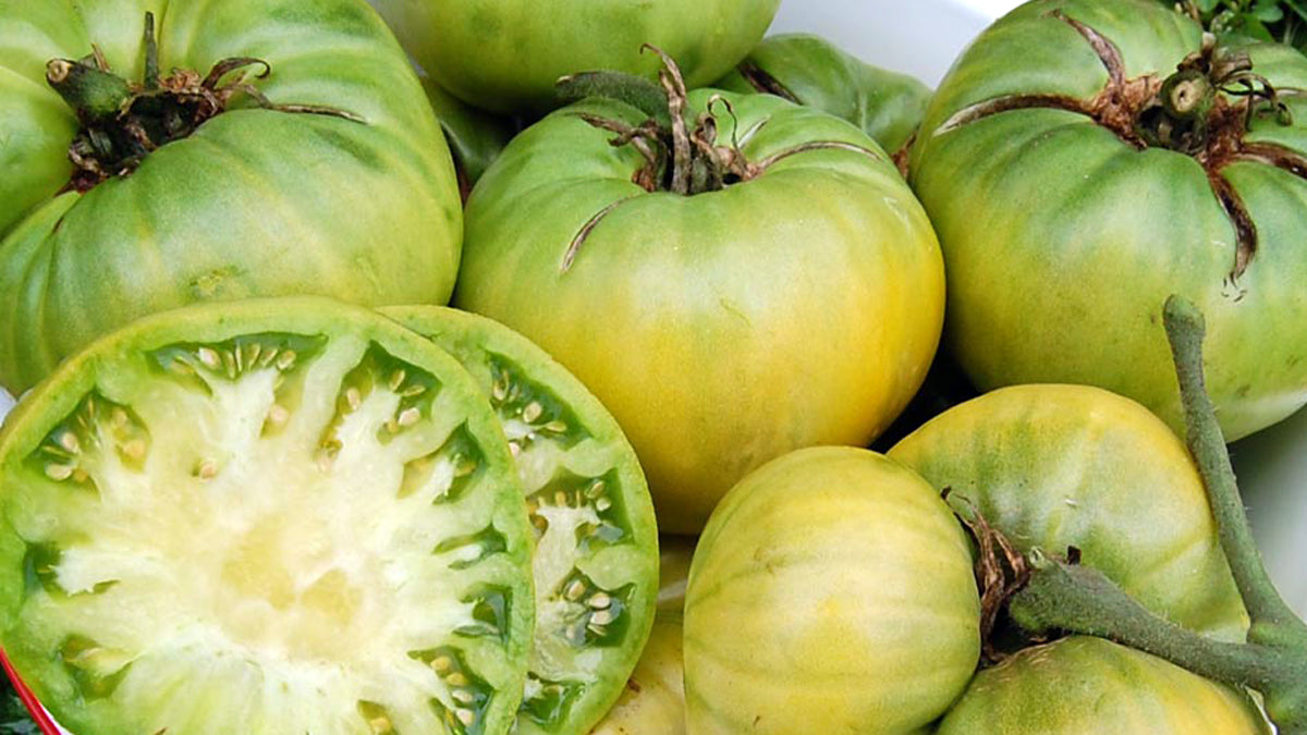 Grüne Zebra-Tomatensamen - Offene Bestäubung, gentechnikfrei, 20 Samen pro Packung: Frische Vielfalt für Ihren Gemüsegarten! 🍅🌿