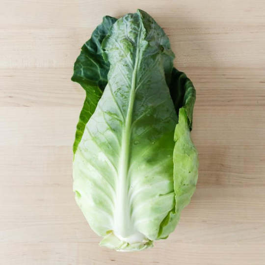 Bio-Weißkohl Caraflex F1 - Natürliche Frische für Ihren Gemüsegarten! 🥬🌱