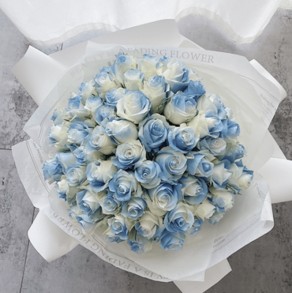 🌹❄️ Michigan Crushed Ice Blue und Weiße Rosenstrauß Samen ❄️🌹