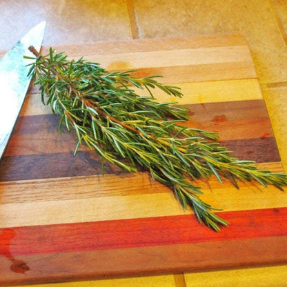 ROSEMARY HERB SEEDS - Duftende, mehrjährige Ergänzung für Ihren Kräutergarten!