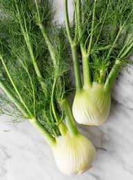 Knollenfenchel (Bulbing Fennel) - Frische Vielfalt für Ihren Garten und Tisch! 🌿🌼💥