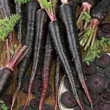 💥Karotte Deep Purple F1 - Eine lebendige Ergänzung für Ihren Gemüsegarten! 🥕🌱💥