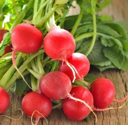 Rettich Cherry Belle - Knackige Frische aus Ihrem Gemüsegarten! 🥕🍒🌱